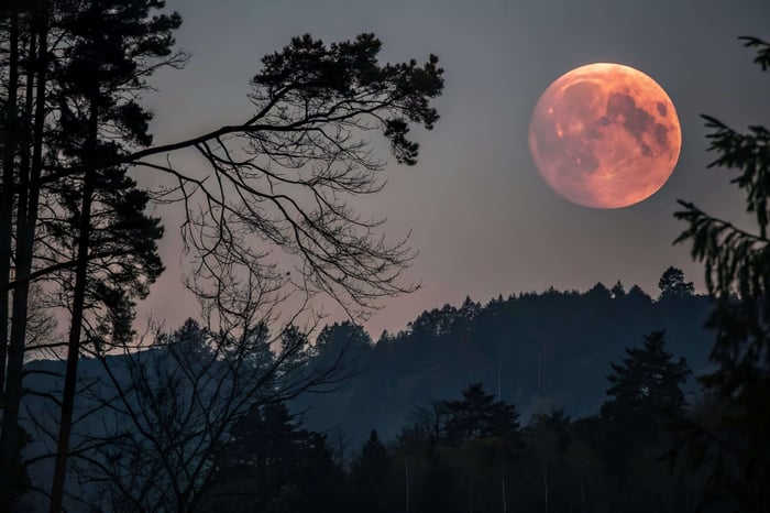 FULL MOON LUNAR ECLIPSE IN VIRGO