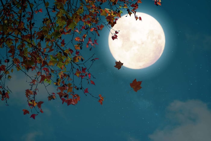 MOON MUSINGS: THE FULL MOON IN TAURUS