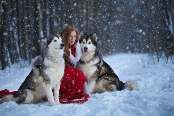 THE MYTH OF LETO AND THE WOLVES