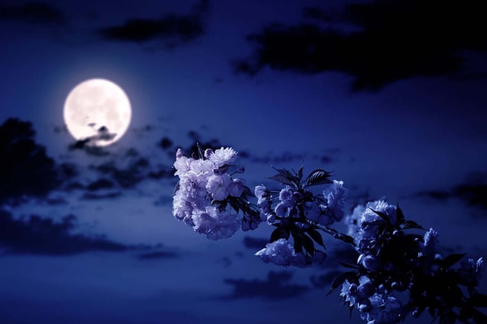 MOON MUSINGS: THE NEW MOON IN LIBRA