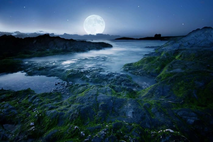 MOON MUSINGS: THE FULL MOON IN SAGITTARIUS