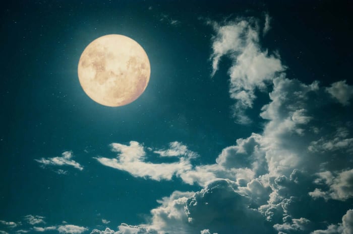 MOON MUSINGS: THE NEW MOON IN VIRGO