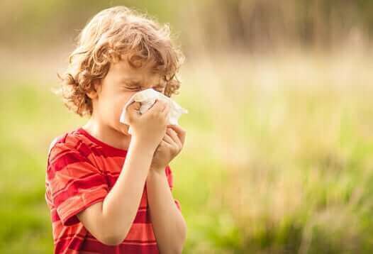 Allergic asthma airway inflammation diagram showing how tetrahydrocurcumin reduces symptoms