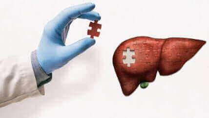 Tetrahydrocurcumin providing hepatoprotective benefits for optimal liver health