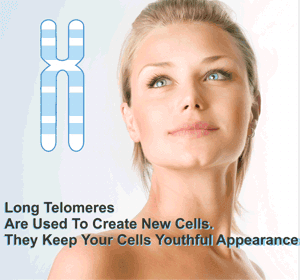 TA-65 Bioenhanced supports cellular rejuvenation and youthful vitality through telomerase activation