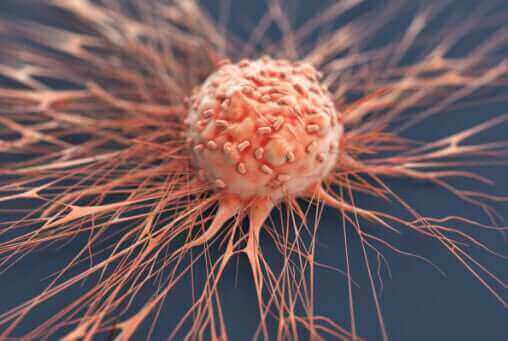 Scientific illustration showing olive oil's anti-inflammatory effects on cellular health