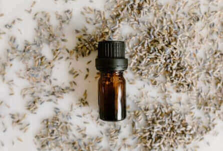 Cumin seeds showing the difference between cumin and curcumin sources for digestive health and antibacterial benefits