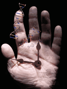 DNA mutations and epigenetic modifications in cellular aging process showing reversible changes