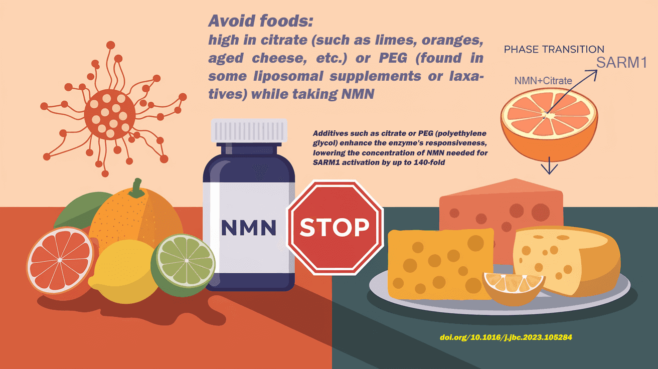 NMN supplements - what foods to avoid for optimal NAD+ absorption