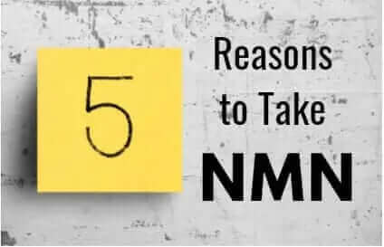 5 Reasons to Take NMN Foods in Your Younger Years