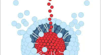 Press Release: Curcumin Made 277 Times More Bioavailable For Women