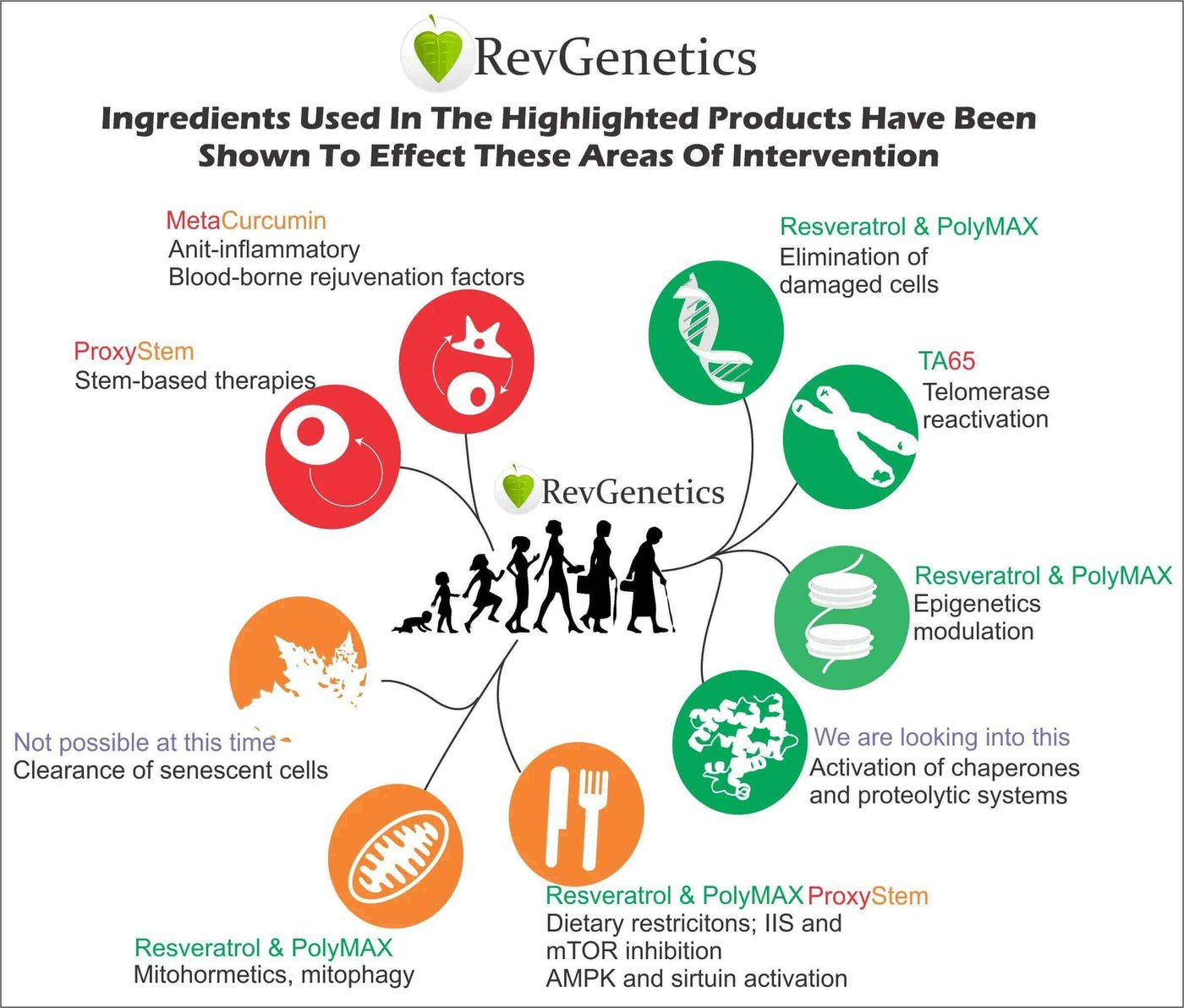 The Hallmarks of Aging & Interventions