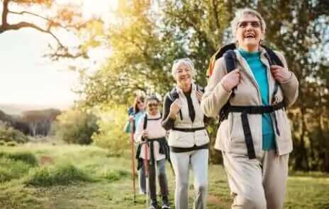 How to Increase Longevity?