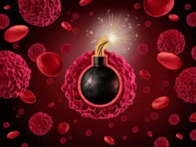 Anomalies within Human Cells, are Controlled by Molecular Timers?