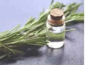 Rosemary Hair Growth?