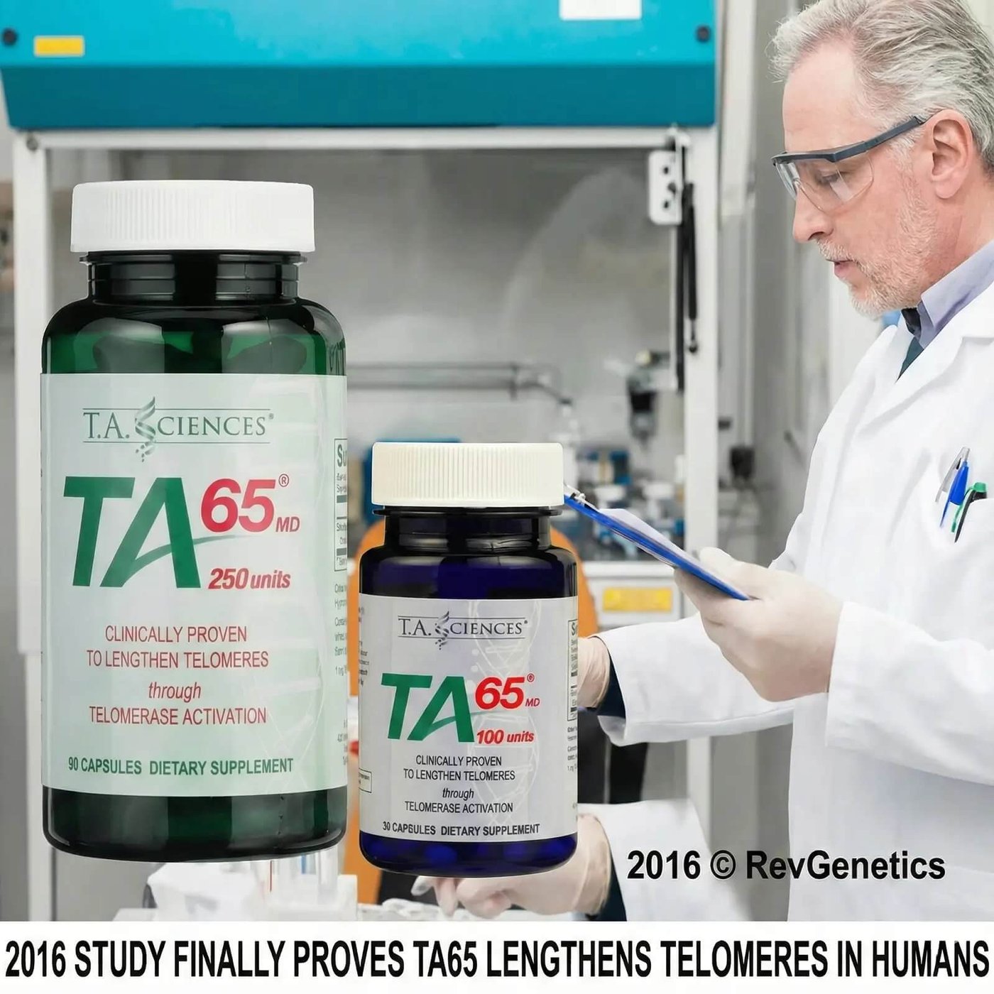 TA-65 Lengthens Telomeres in Humans