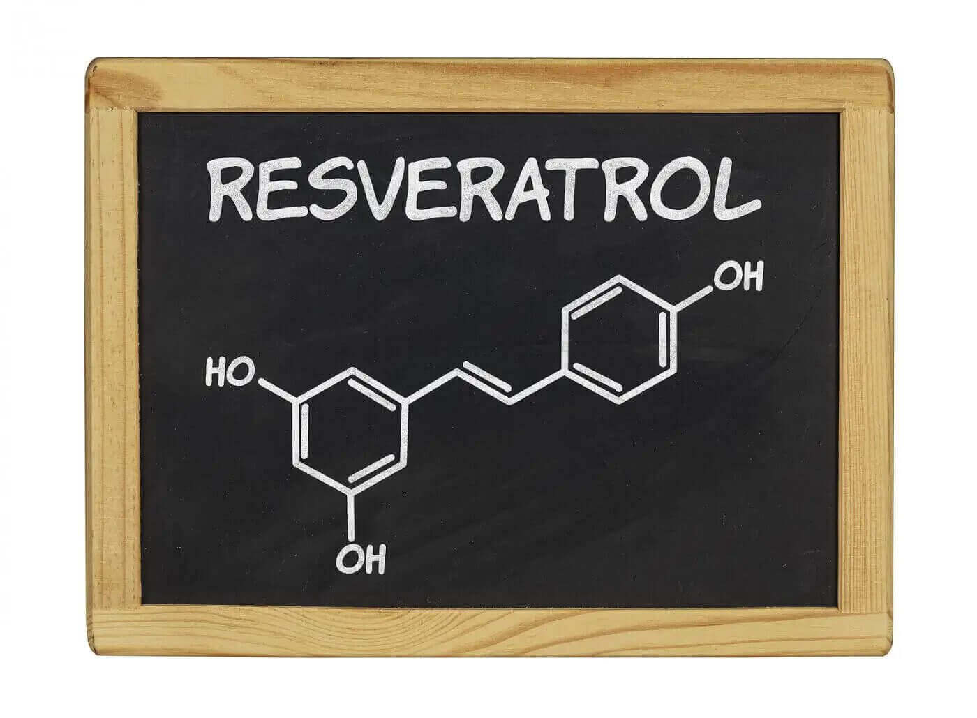 The Resveratrol Forum In The New York Academy of Sciences