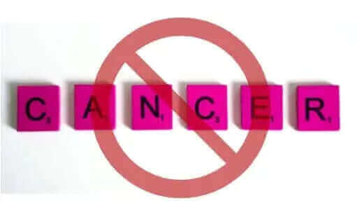 Why Can NMN Food Protect You and Not Increase Your Cancer Risk?