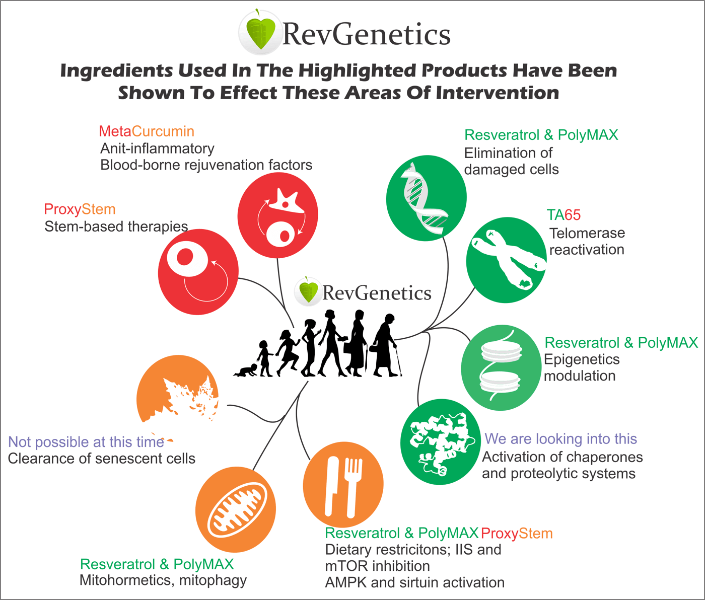 Comprehensive aging interventions chart and supplement guide
