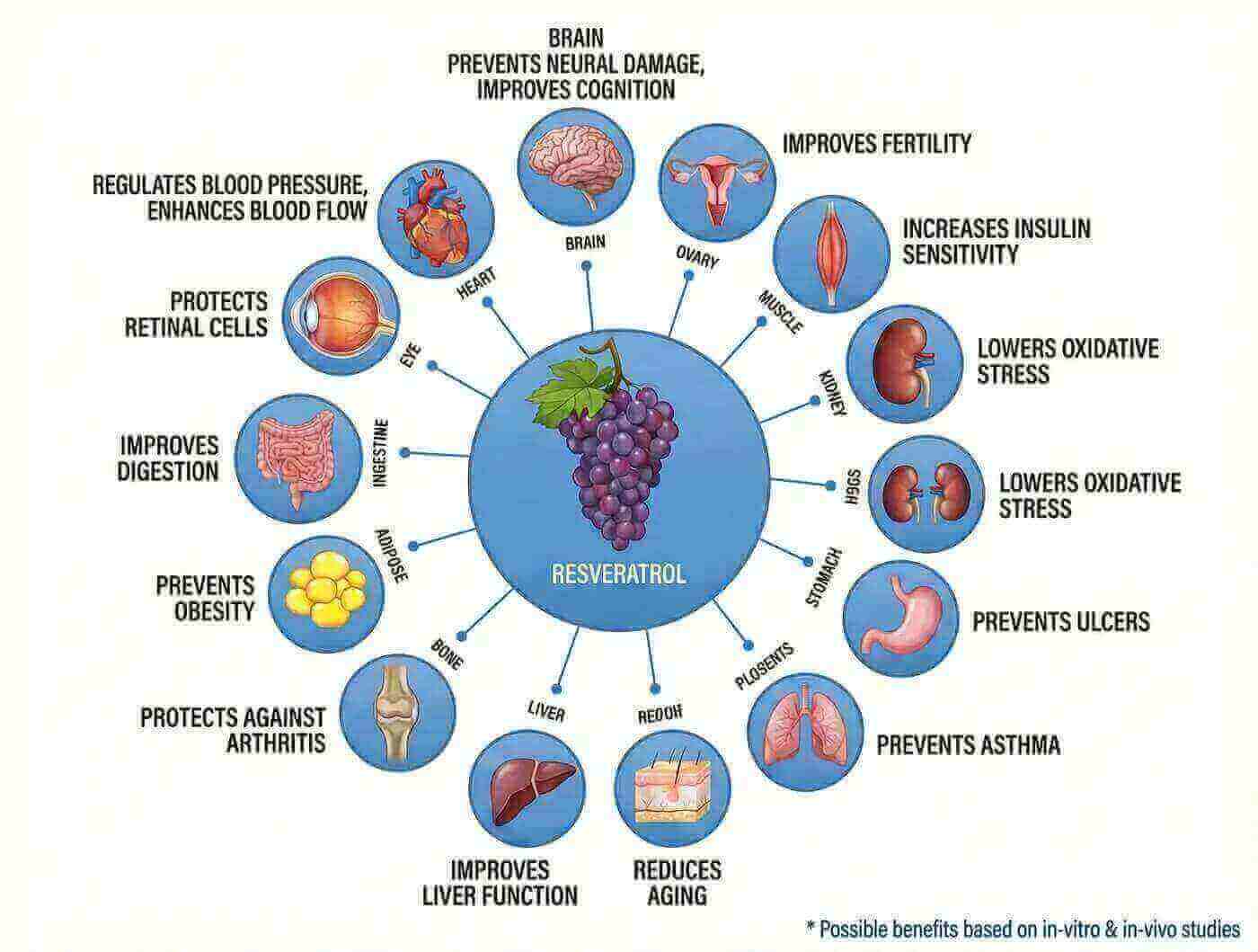 Resveratrol molecular structure showing immune system benefits and protective properties