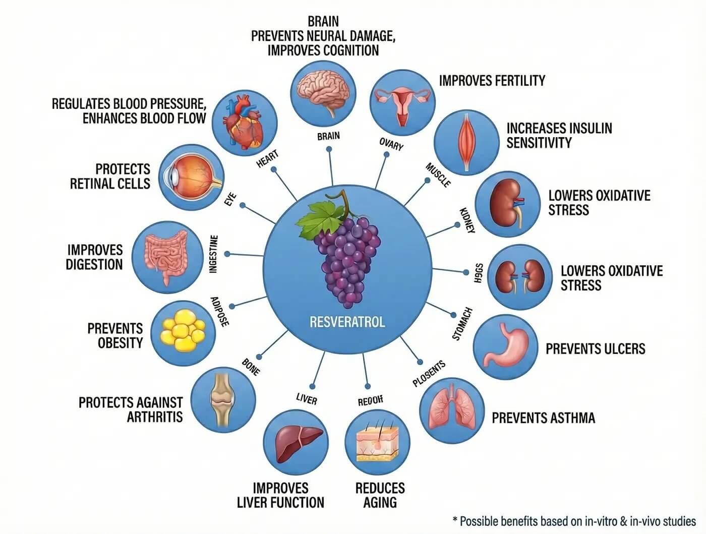 What are the Uses and Effectivity of Resveratrol?