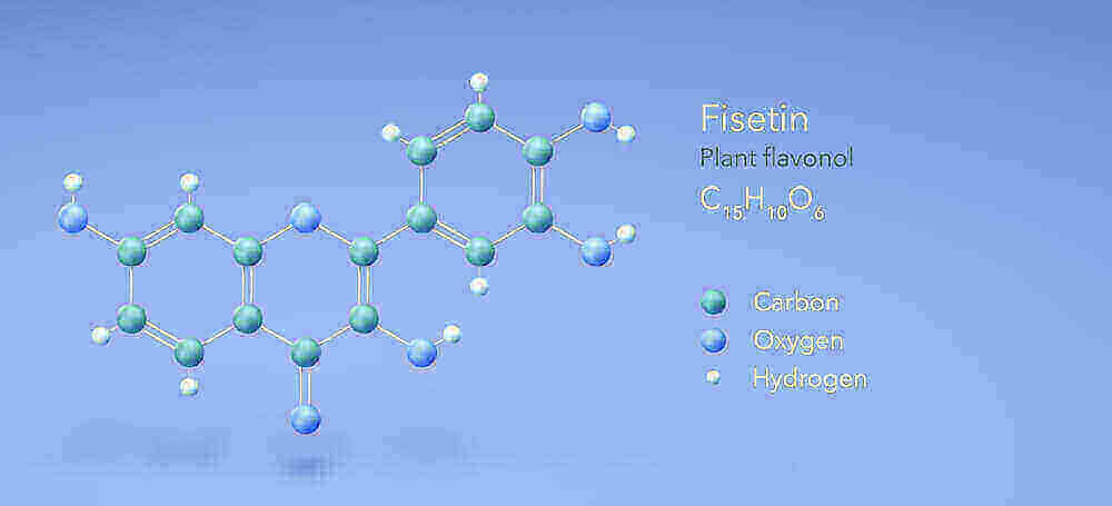 What is fisetin - molecular structure and natural sources including strawberries