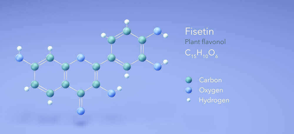 What is fisetin - molecular structure and natural sources including strawberries