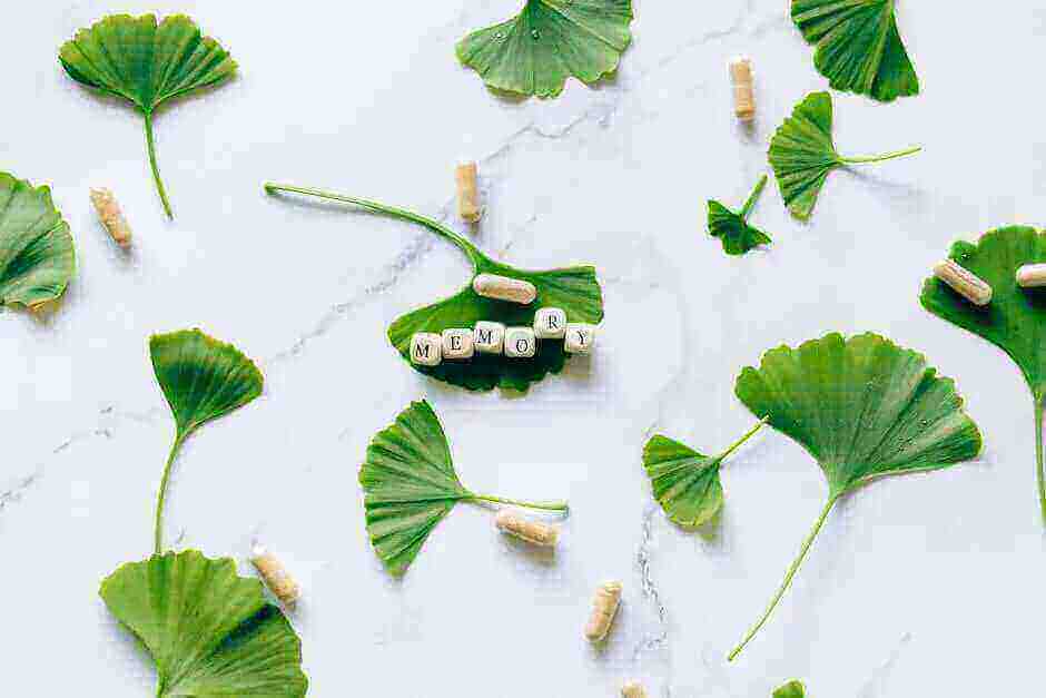 Arranged Ginkgo Leaves and Capsules on Marble Surface