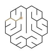 Brain Ritual Team