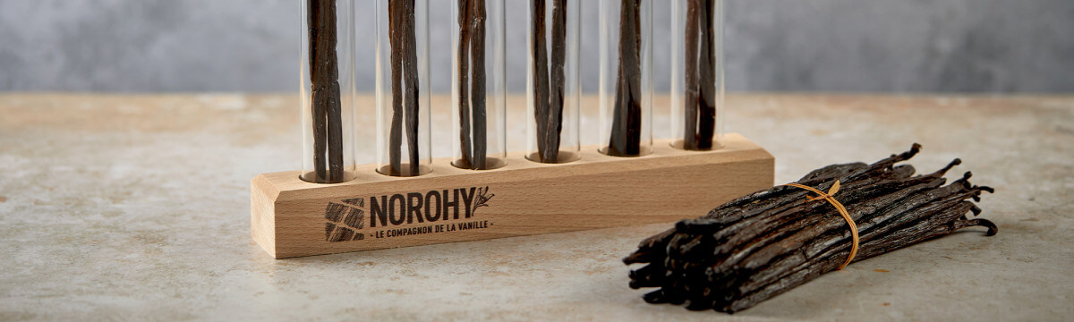 Let’s build a brighter vanilla world together with Norohy