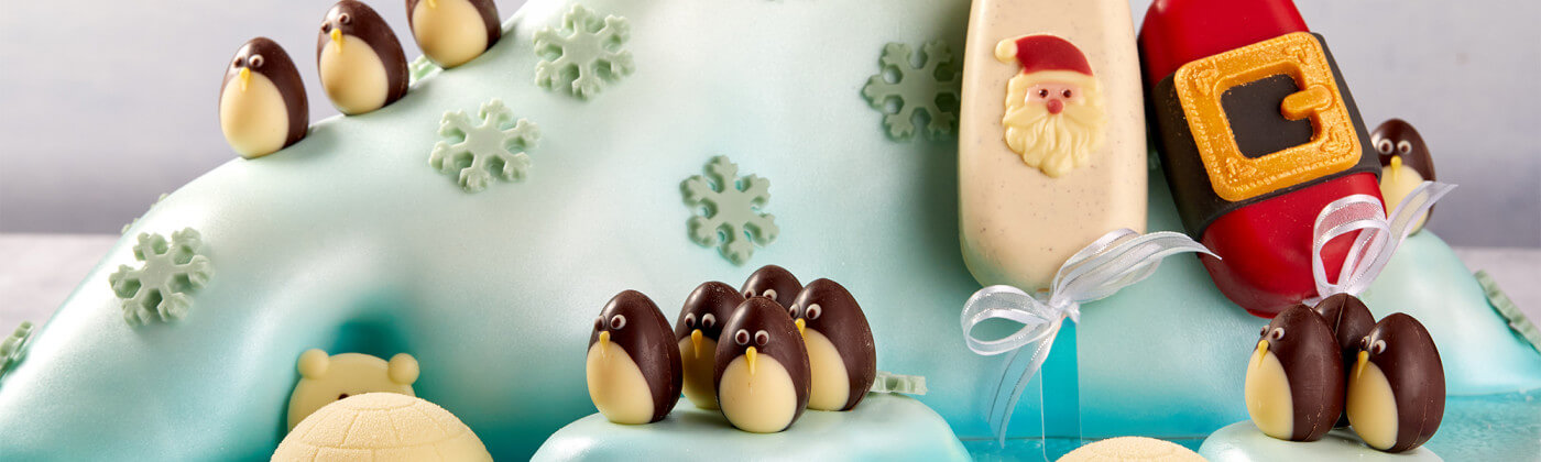 Looking for ways to elevate your festive bakes this Christmas?