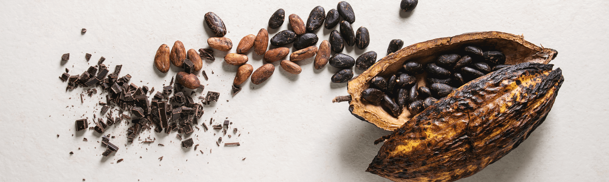Chocolate market update: Cacao as a commodity