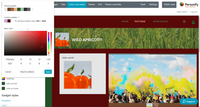What is Wild Apricot: site builder and page editor