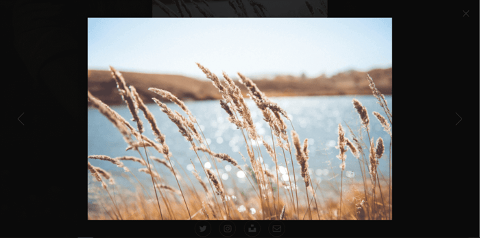 Carrd themes