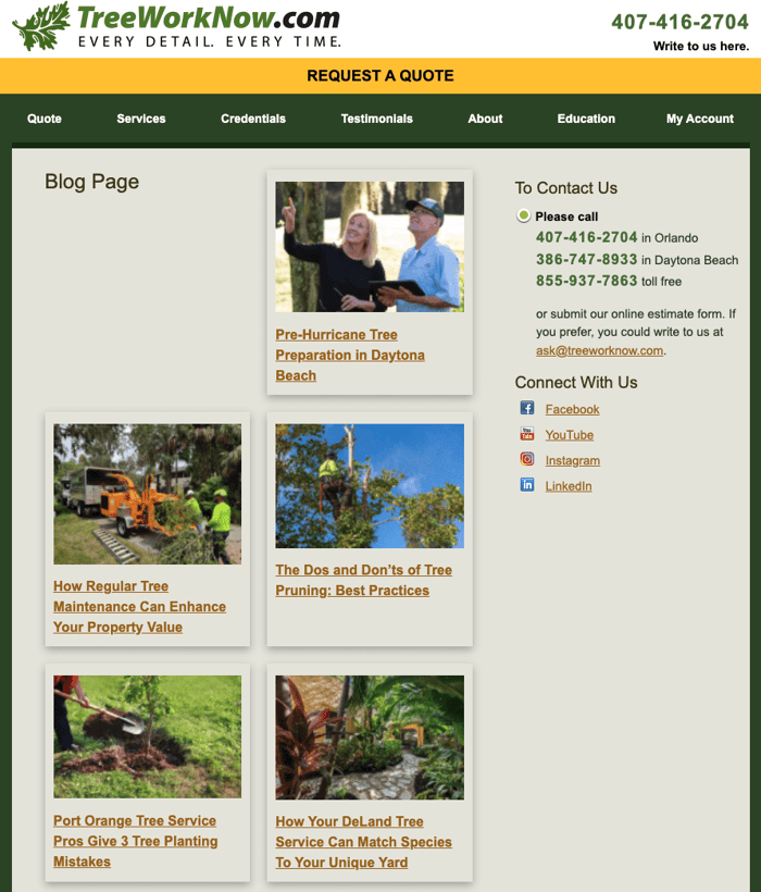 Tree Work Now Blog