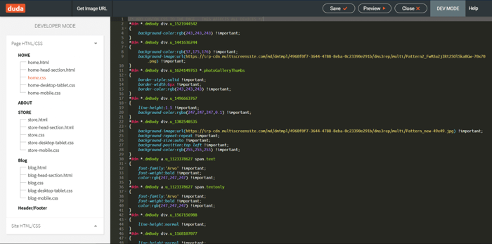 how dev mode looks