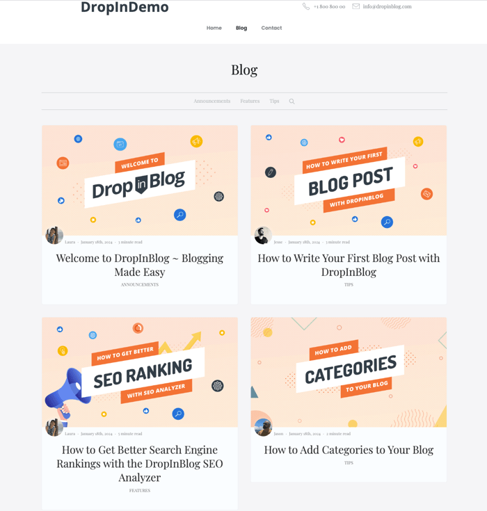 A preview of a DropInBlog blog in Webflow