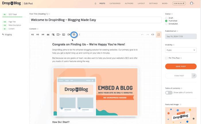 Big Cartel blog install step