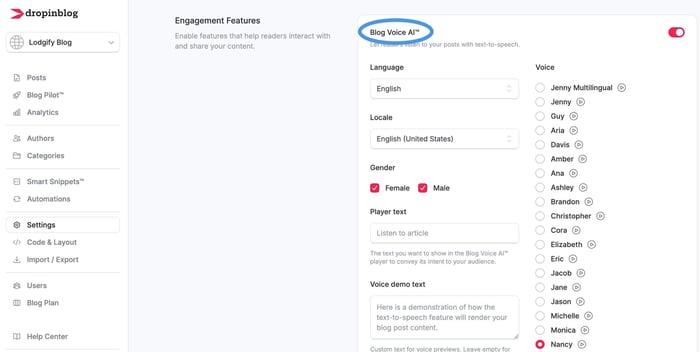 Blog Voice AI™ settings