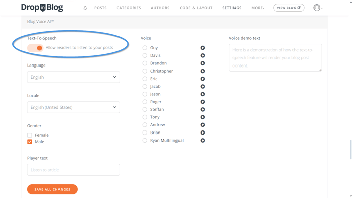 Blog Voice AI Settings
