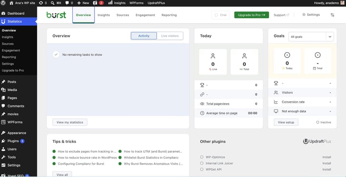 WordPress blogging plugin: Burst Statistics