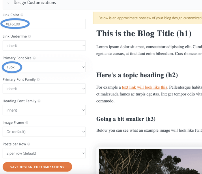 DropInBlog's Design Customizer