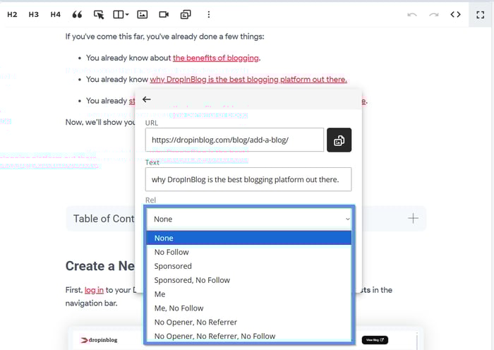 Supported link relationship attributes within the DropInBlog editor