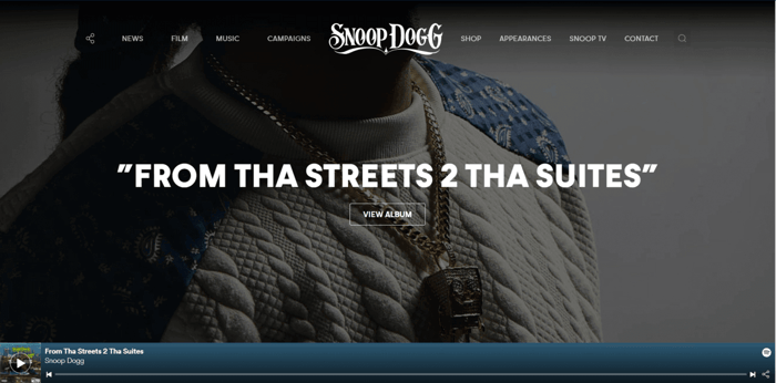 Drupal vs WordPress: WordPress Snoop Dog Website
