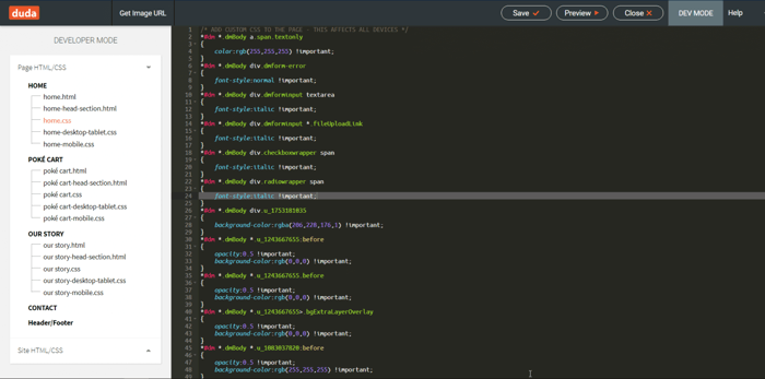 Duda developer mode
