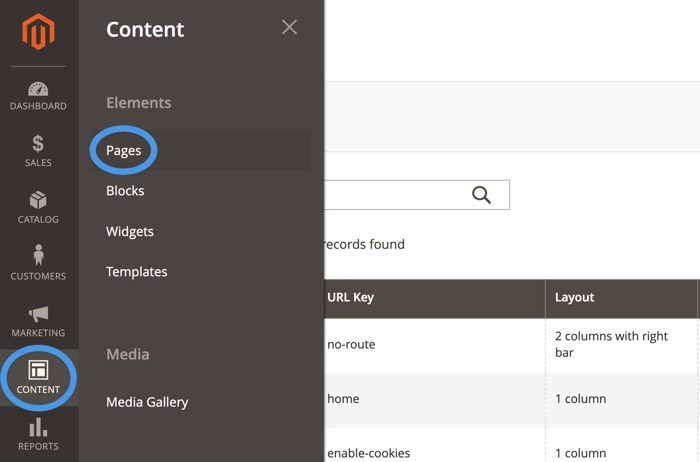 Magento blog install step