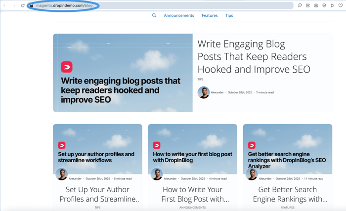 Magento blog install step