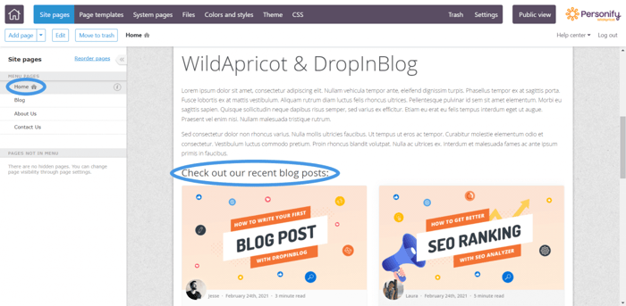 Add recent posts to your WildApricot website