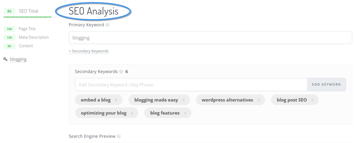 The SEO Analyzer