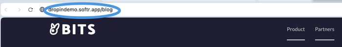 Softr blog install step